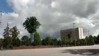 Weather forecast for August 2