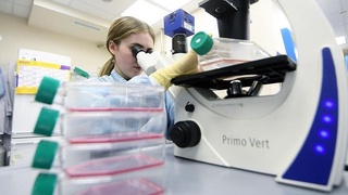 Эксперт оценил исследование ученых о четырехнедельной жизни коронавируса