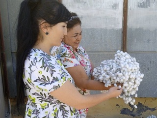 Pilla — 2022: Navoiy viloyati ishchi guruh subsidiya masalalarini muhokama qildi