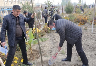 Наманган мактаблари яшил масканга айланмоқда