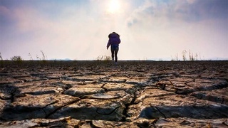 Глава ООН об изменении климата: нынешнее столетие может оказаться для человечества последним