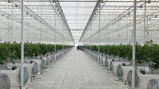 Ширкати кореягӣ ният дорад дар Ӯзбекистон корхонаи биосӯзишворӣ бунёд кунад