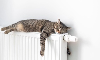 В Ташкентской области повышаются тарифы на горячую воду и отопление