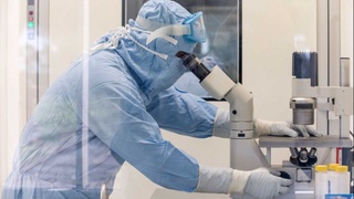 Бир вақтнинг ўзида коронавируснинг икки ёки учта штамми билан касалланиш мумкинми? – иммунолог жавоб берди