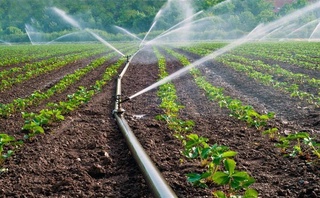 Хитой компаниялари тўрт вилоятда суғориш тизимини реконструкция қилади