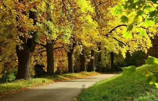 Weather forecast for November 23