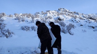 Noyob qushlar hamda boshqa jonivorlarni qishdan betalofat olib chiqish maqsadida qoʻshimcha oziqlantirilmoqda