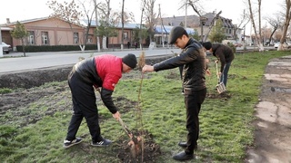 Объединимся в рамках общенационального проекта «Зеленое пространство»!