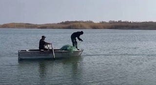 Dozens of violations have been identified in the Aidar-Arnasai lake system and hundreds of illegal nets have been seized