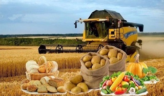 Viorel Gutsu: qishloq xo'jaligi — davlatlar barqaror rivojlanishining asosiy omillaridan biri