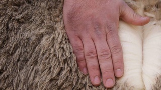 От смелой идеи - к прибыльному производству