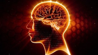 Miya faoliyatini tabletkalarsiz ham yaxshilash mumkin