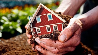 Бухорода қишлоқ хўжалигига мўлжалланган ерлардан фойдаланишда 439 та ҳолатда қонунбузилиш содир этилган