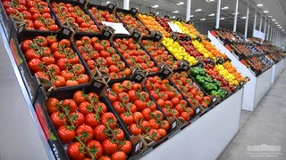 Новые ориентиры для древнего и вечно молодого Хорезма