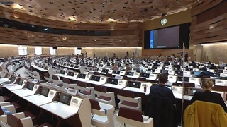 Начала работу 49-я сессия Совета ООН по правам человека