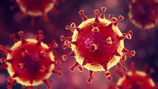 Koronavirusning havoda qancha muddat qolishi aniqlandi