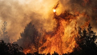 Oʻrmon yongʻinlari sabab 30 mingdan ortiq kishi evakuatsiya qilindi