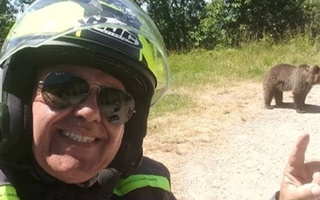 В Карпатах медведь загрыз туриста после селфи с ним