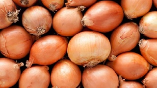 Узбекистан отменил ограничение на экспорт лука