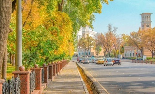 Ertaga ayrim joylarga yomgʻir yogʻishi mumkin