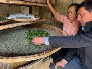 Тошкент вилоятида пиллачилик бўйича Вьетнам тажрибаси қўлланилади