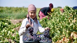 С прицелом на дальнюю перспективу