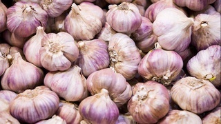 Хитой саримсоқпиёзи ортга қайтариб юборилди