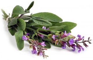 Мармарак барглари дамламаси ошқозон ва ичак касалликларини даволайди