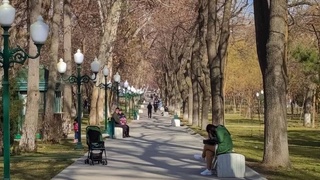 Узгидромет: на этой неделе температура воздуха в Узбекистане прогреется до +15 градусов