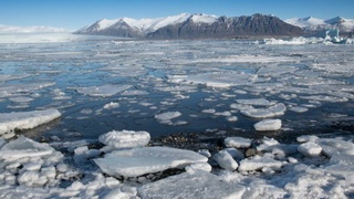 DM: Арктика может полностью освободиться ото льда через три года