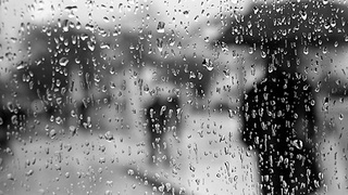 Ўзбекистоннинг олти ҳудудида ёмғир ёғиши кутилади