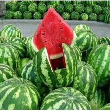 Тарвузни қандай танлаш керак?