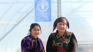 Теплицы переданы малообеспеченным семьям Кашкадарьинской области