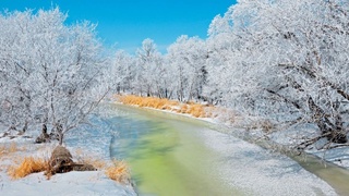 Дам олиш кунлари об-ҳаво қандай бўлади?