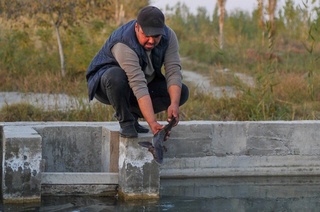 Корхона фаолияти кенгаяди, маҳсулот ҳажми ошади