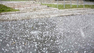 Өзбекстанның бірқатар облыстарында қатты жаңбыр мен бұршақ жаууы мүмкін