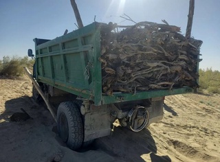 Бухорода саксовулларни синдирган шахслар жаримага тортилди