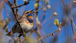 Прогноз погоды на день 22 февраля