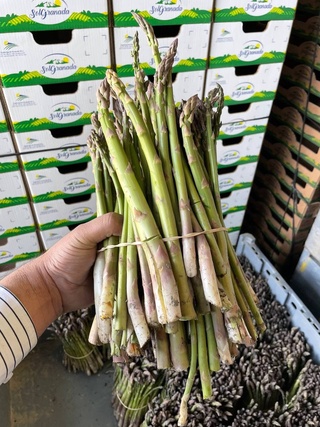 Oʻzbekistonda mandarinning sovuqqa chidamli navi tajriba sifatida ekish rejalashtirilmoqda