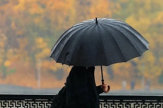 Эртага айрим жойларда бироз ёмғир ёғиши мумкин