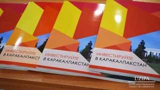 Турецкие компании заинтересованы развивать сотрудничество в Республике Каракалпакстан