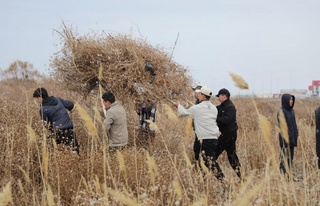 «Жасыл мәкан» көлеми кеңеймекте