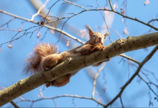 Пешгӯии обу ҳаво барои 18 январ