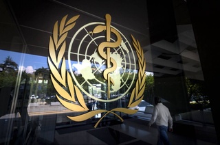 Uzbekistan and WHO discussed issues of achieving common goals in the field of health and sustainable development