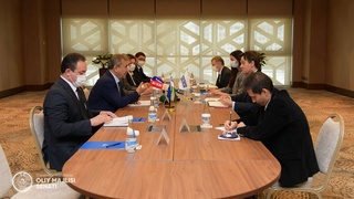 Senat Raisining birinchi o‘rinbosari Yevropada xavfsizlik va hamkorlik tashkilotining Demokratik institutlar va inson huquqlari bo‘yicha byurosi direktori bilan uchrashdi