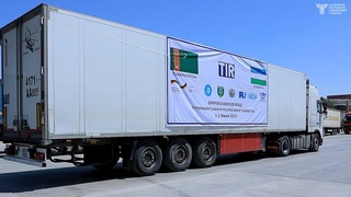 Ўзбекистон ва Туркманистон ўртасида  рақамли TIR дастури бўйича дастлабки халқаро плщлихжамэташувларга старт берилди