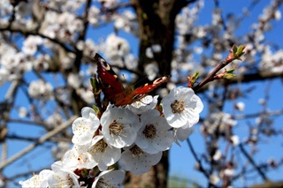 Прогноз погоды на 11 апреля