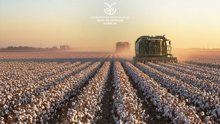 2025 йилда пахта йиғим-теримида машина хизмати тарифларининг тавсиявий миқдори эълон қилинди