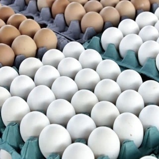 Tuxum narxlari bir oyda oʻrtacha 0,4 foizga arzonlashdi