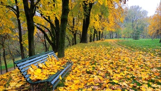 Бу йил октябрь ойида Ўзбекистонда об-ҳаво қандай бўлади?